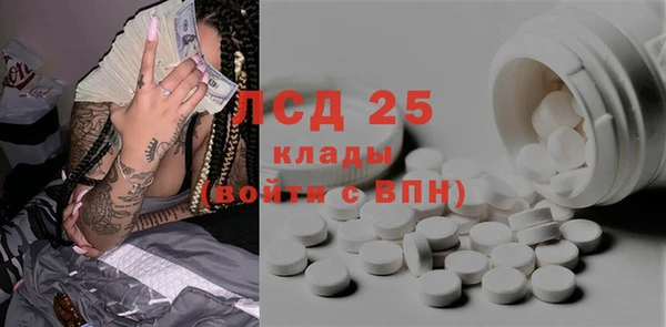 стаф Новодвинск