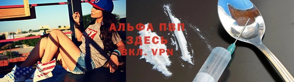 стаф Новодвинск