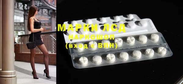 спиды Новозыбков