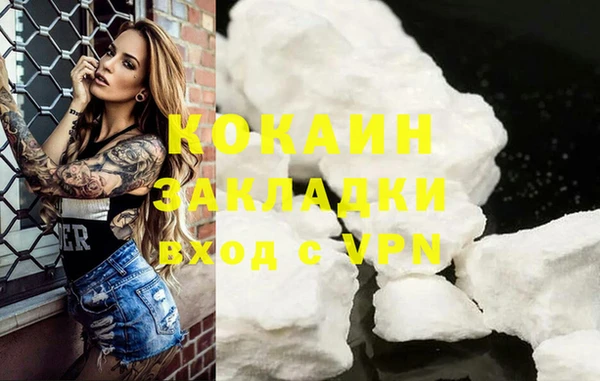 спиды Новозыбков