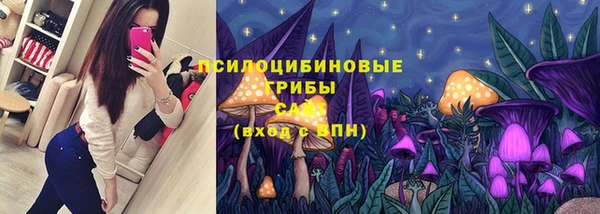 спиды Новозыбков