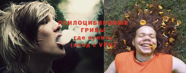 спиды Новозыбков