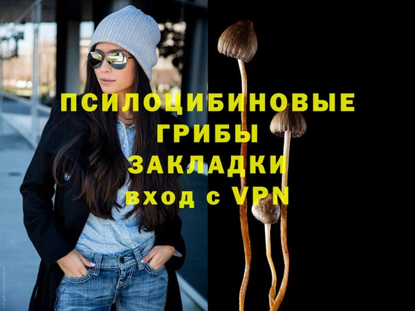 стаф Новодвинск