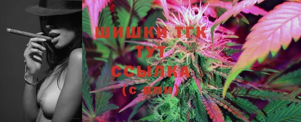 спиды Новозыбков