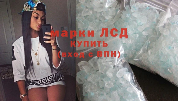 стаф Новодвинск